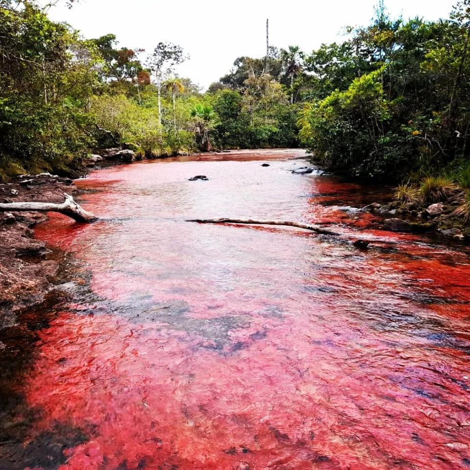 Hotel Ecologico Makalombia La Macarena 외부 사진