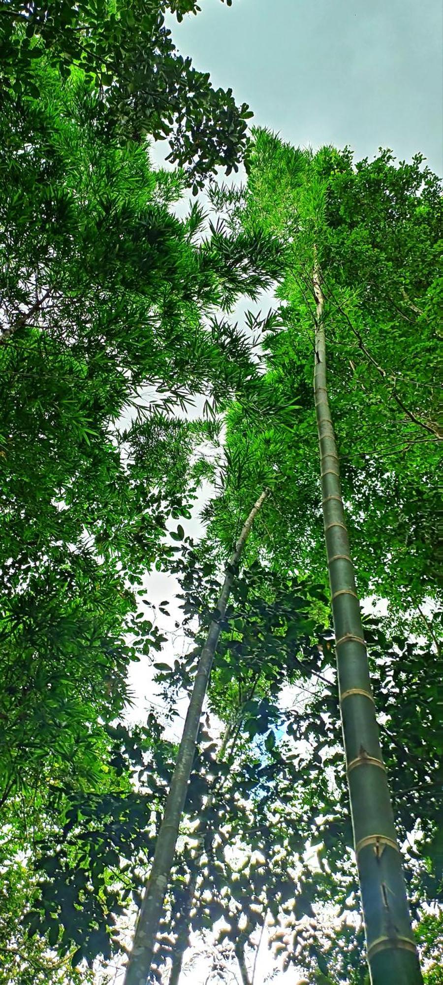 Hotel Ecologico Makalombia La Macarena 외부 사진
