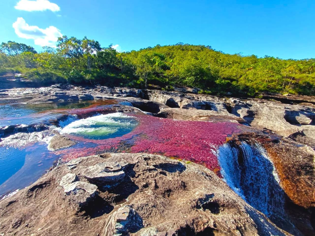 Hotel Ecologico Makalombia La Macarena 외부 사진