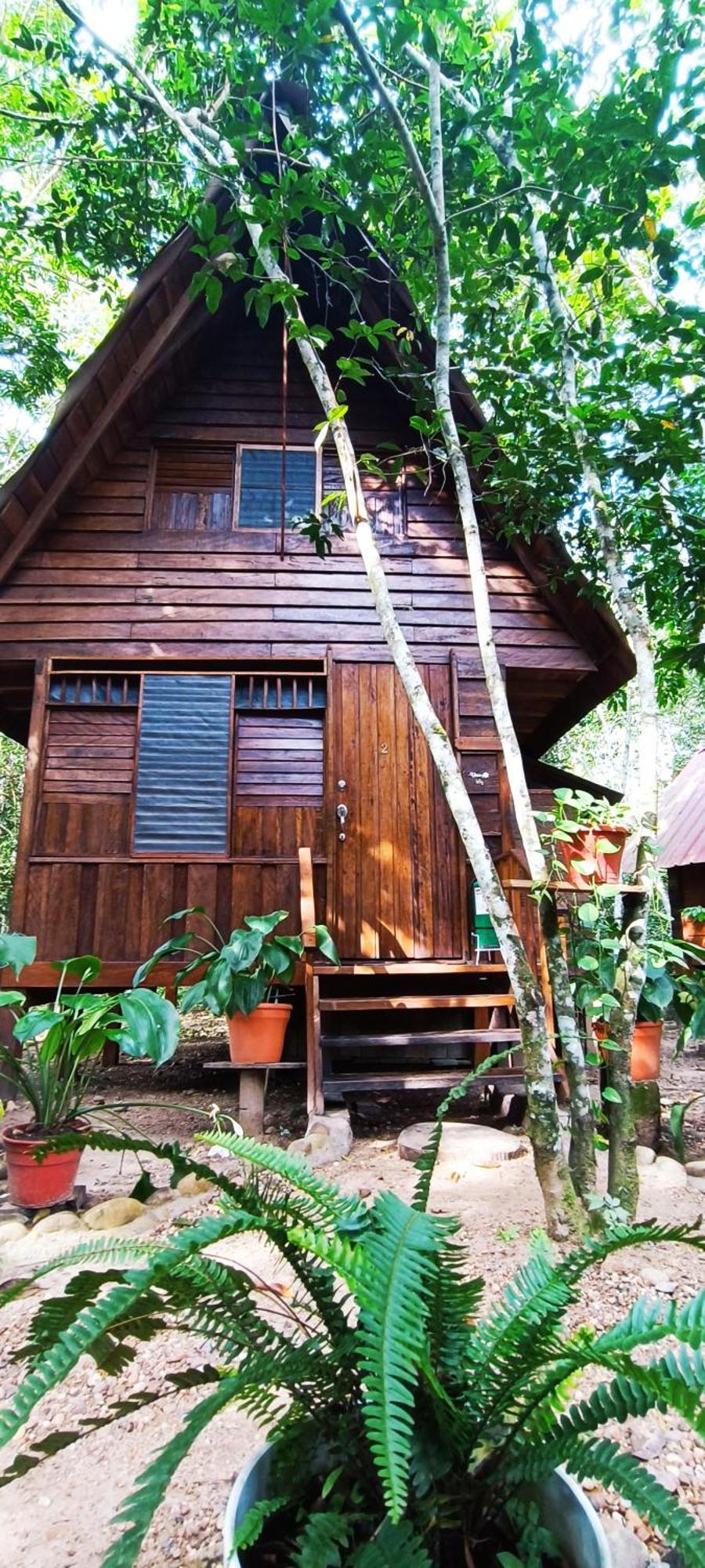 Hotel Ecologico Makalombia La Macarena 외부 사진