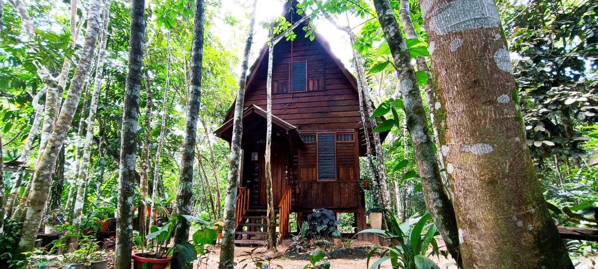 Hotel Ecologico Makalombia La Macarena 외부 사진
